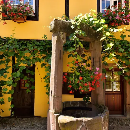 Hotel L'abbaye D'alspach