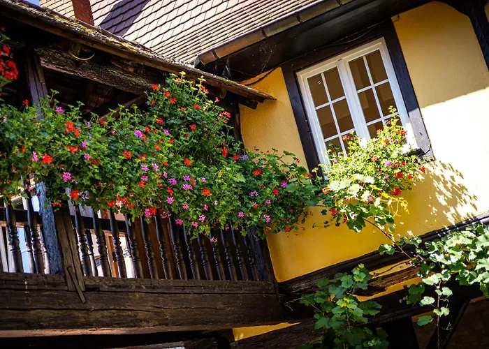 Hotel L'abbaye D'alspach 3*